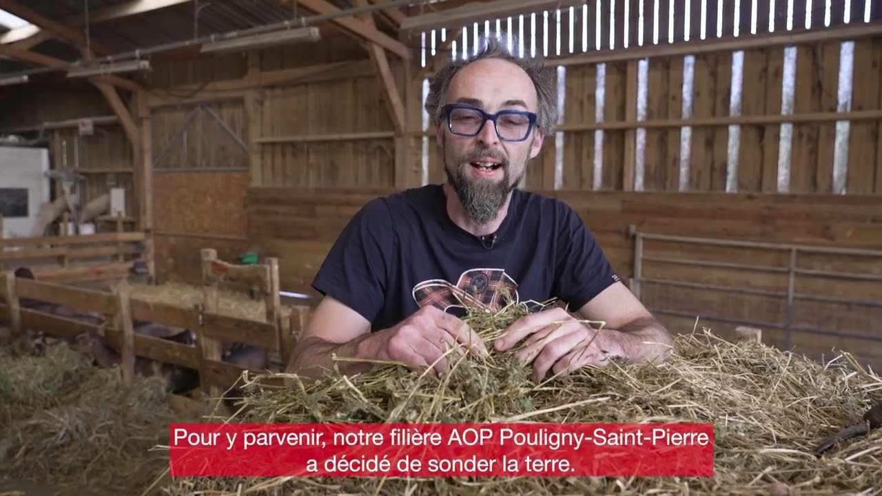 L'AOP Pouligny-Saint-Pierre tire le meilleur de son terroir