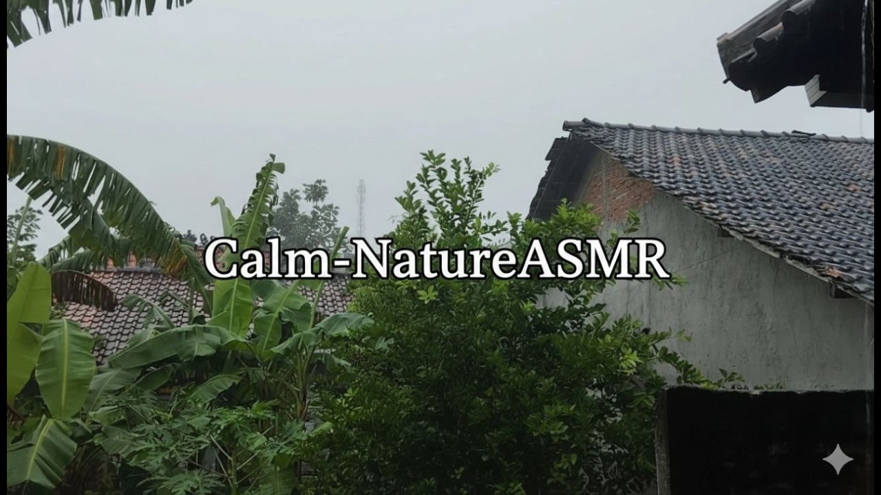 Gentle Rain on Front Porch at Night 🌧️ Cozy ASMR for Deep Sleep & Relaxation (No Music)