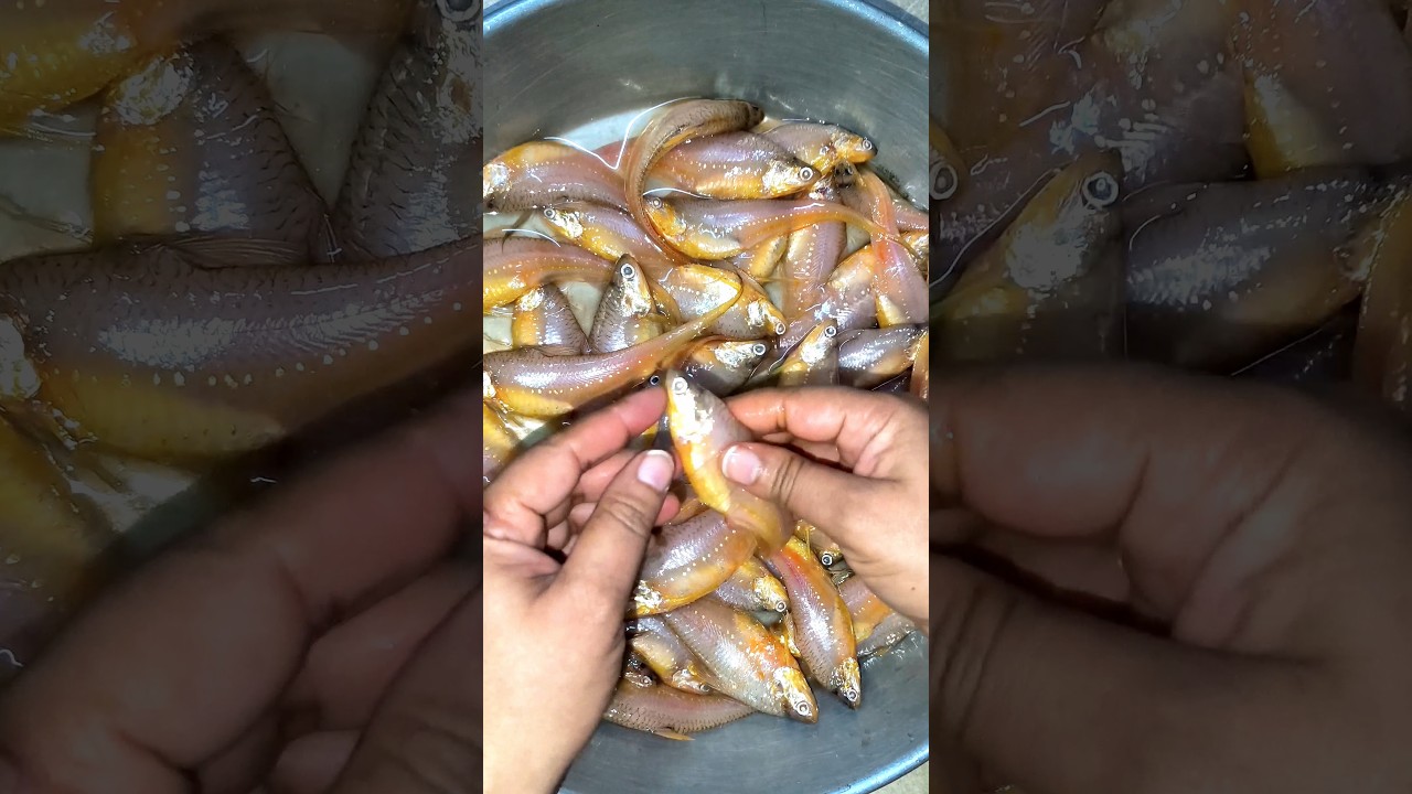 How to clean mandeli fish at home 🐟 | मांडली मच्छली कैसे साफ करे #shorts #seafood #short #viral #bts
