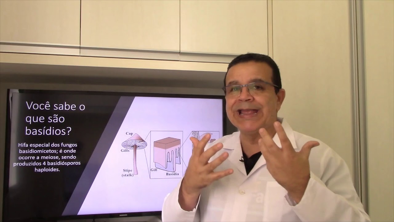 BASIDIOS. VOC&Ecirc; SABE O QUE S&Atilde;O ?