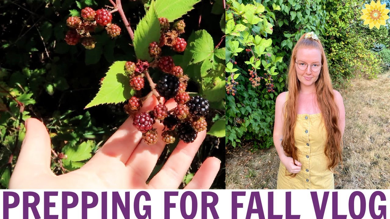 FALL FARM PREP | MAKING SUSTAINABLE STAPLES & LOVING LIFE!