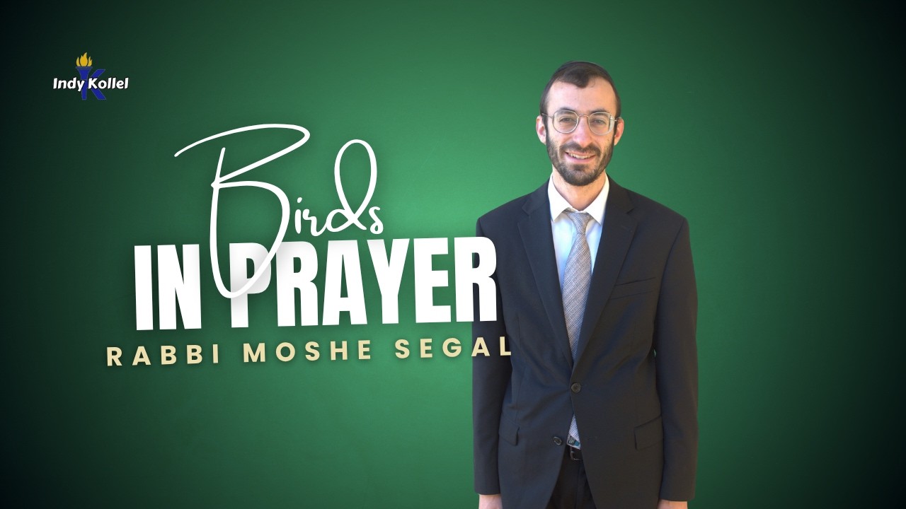 Birds In Prayer | Sim Shalom | The Bat, Marriage Harmony, and Torah’s Peace