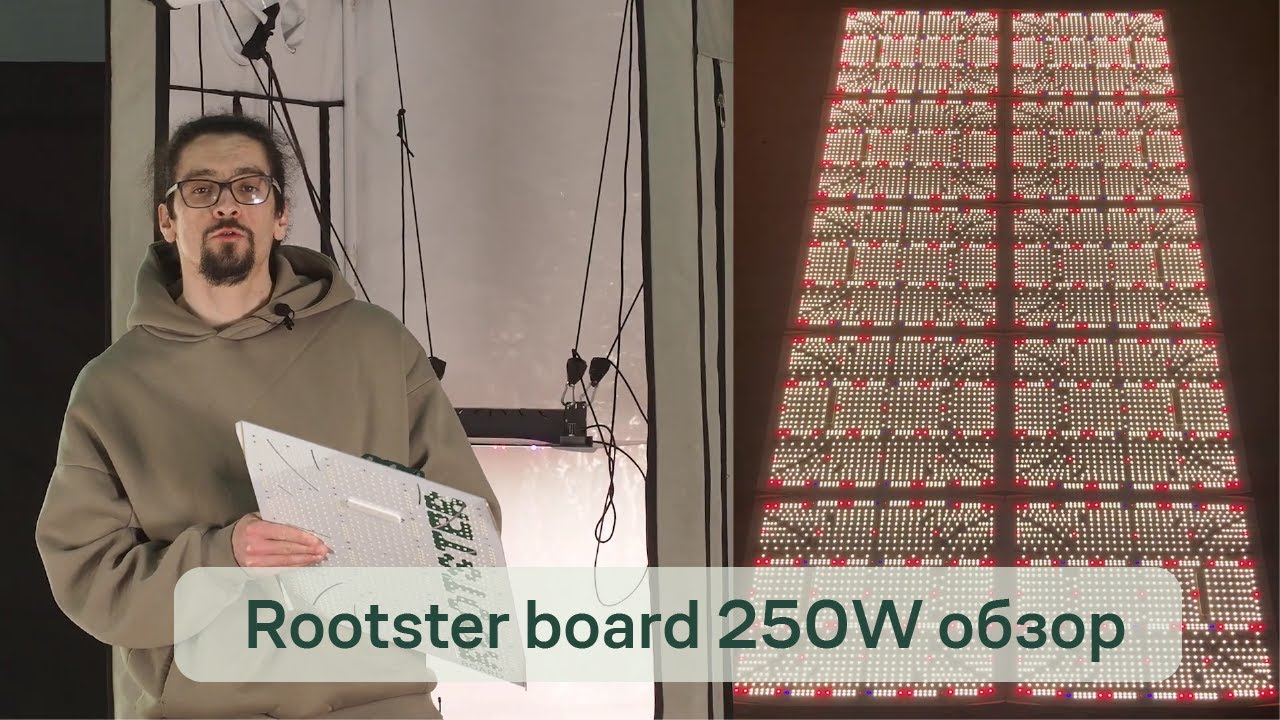 QUANTUM BOARD НОВОГО ПОКОЛЕНИЯ | Rootster board 250W