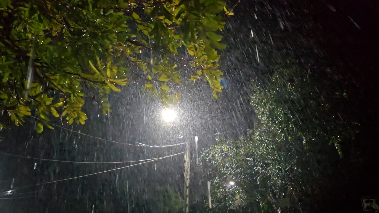 Heavy Rain Under Street Light | Intense Rainstorm Sounds for Deep Sleep and Calm