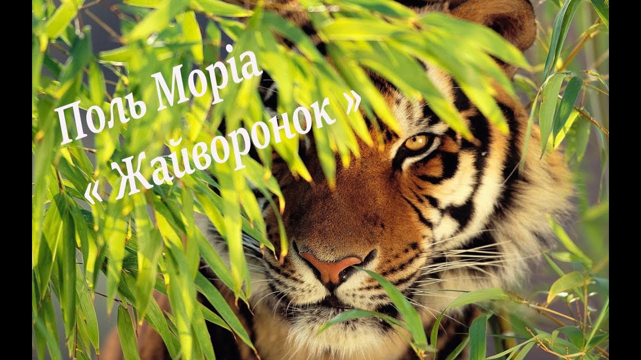 Поль Моріа 