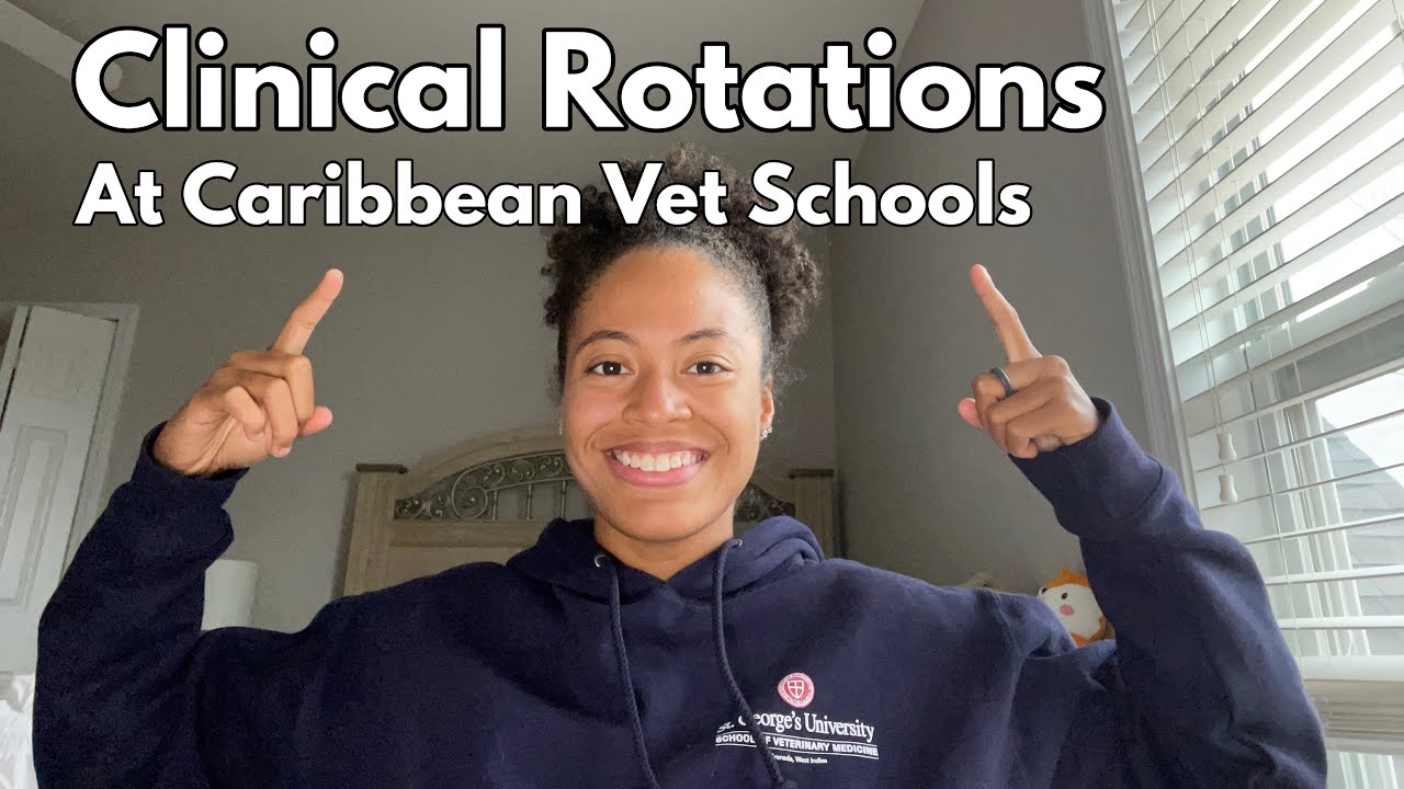 How Clinical Rotations Work At Caribbean Vet Schools