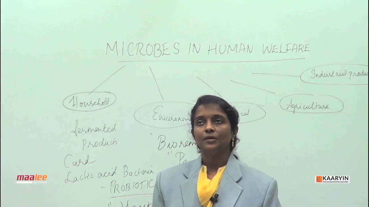 NEET BIOLOGY - MICROBES IN HUMAN WELFARE - NEETLIVE.COM