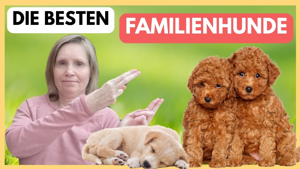 Familienhunde 🐶 Die 10 freundlichsten Hunderassen für Familien!  🐕 ❤️