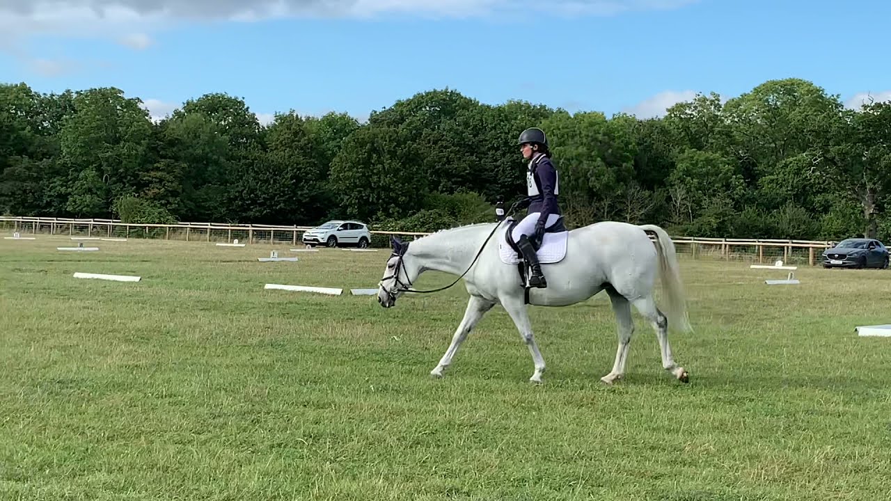 Dressage Moreton Morrell