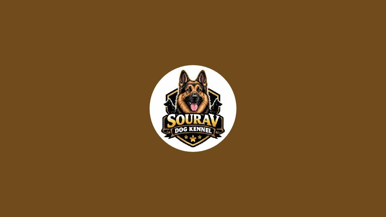 Sourav Dog kennel  is live!