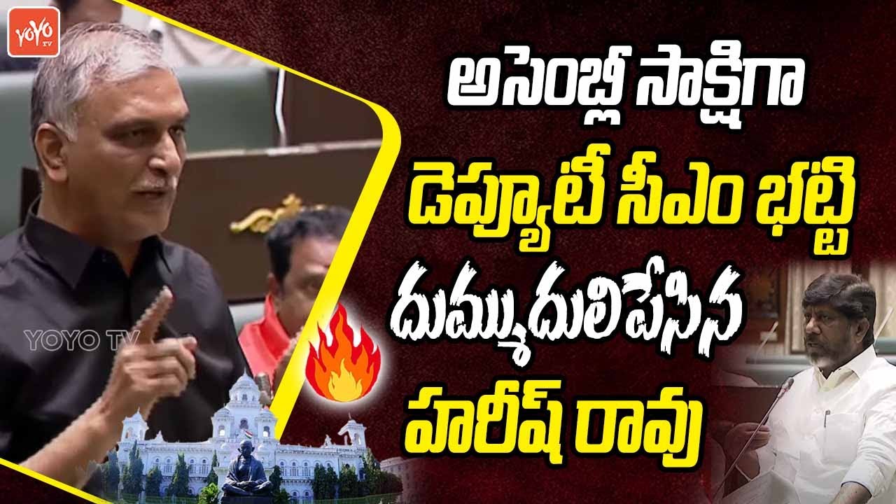 Harish Rao Aggressive Speech in Telangana Assembly | CM Revanth Reddy | KCR | KTR | YOYO TV Channel