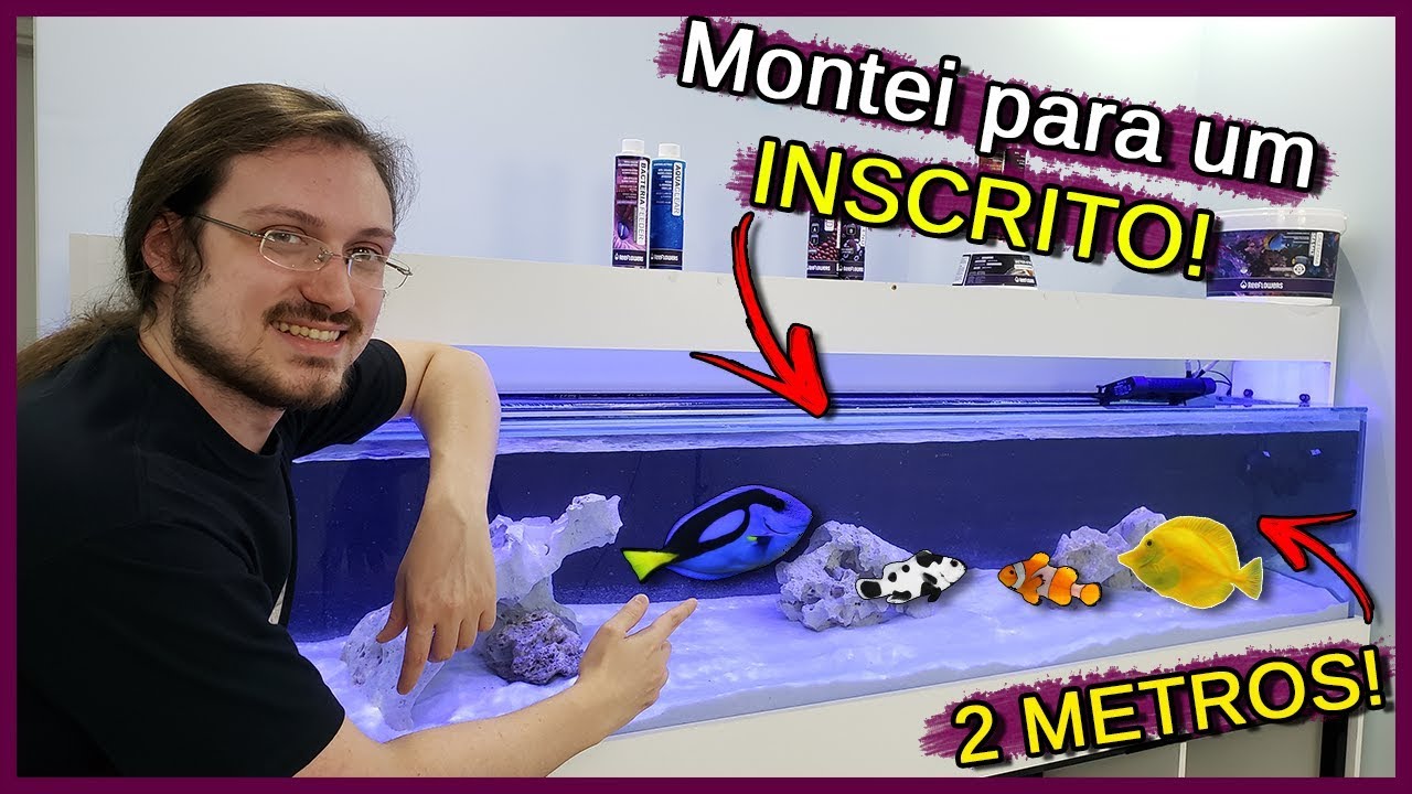 Montei um Aquário Marinho de 2 Metros para um INSCRITO!