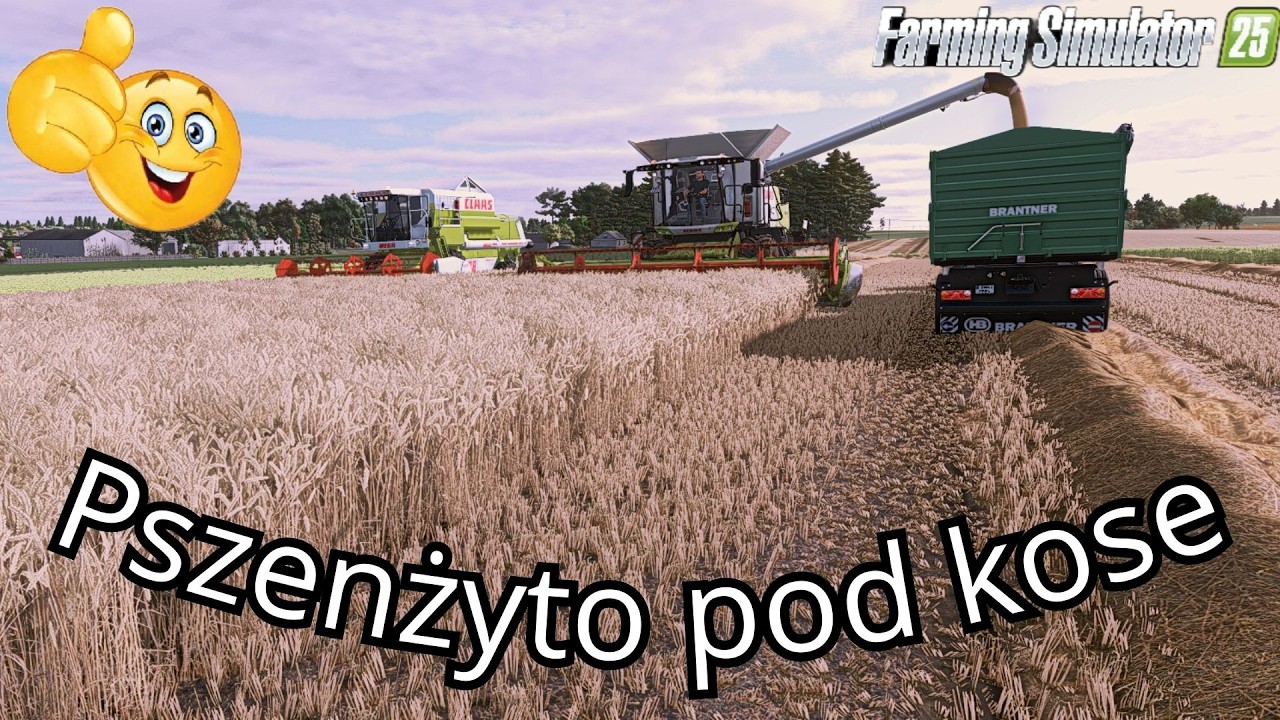 😄🚜 Pszenżyto idzie pod kosę! | Koszenie + prasowanie bel | Farming Simulator💪🌾