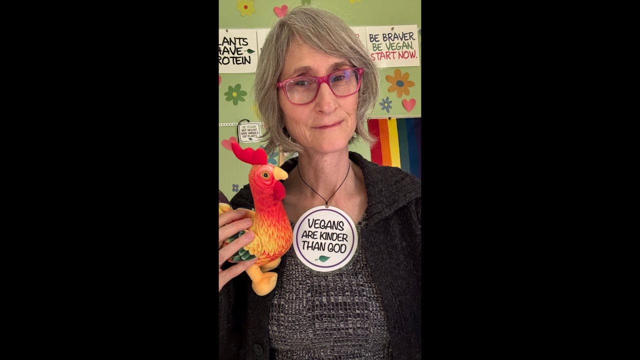 That Vegan Teacher is live!