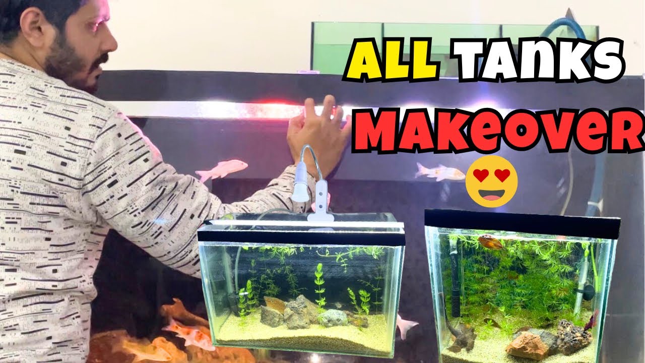 Applying Black Tape on All My Fish Tanks | Clean & Professional Look 🖤🐟