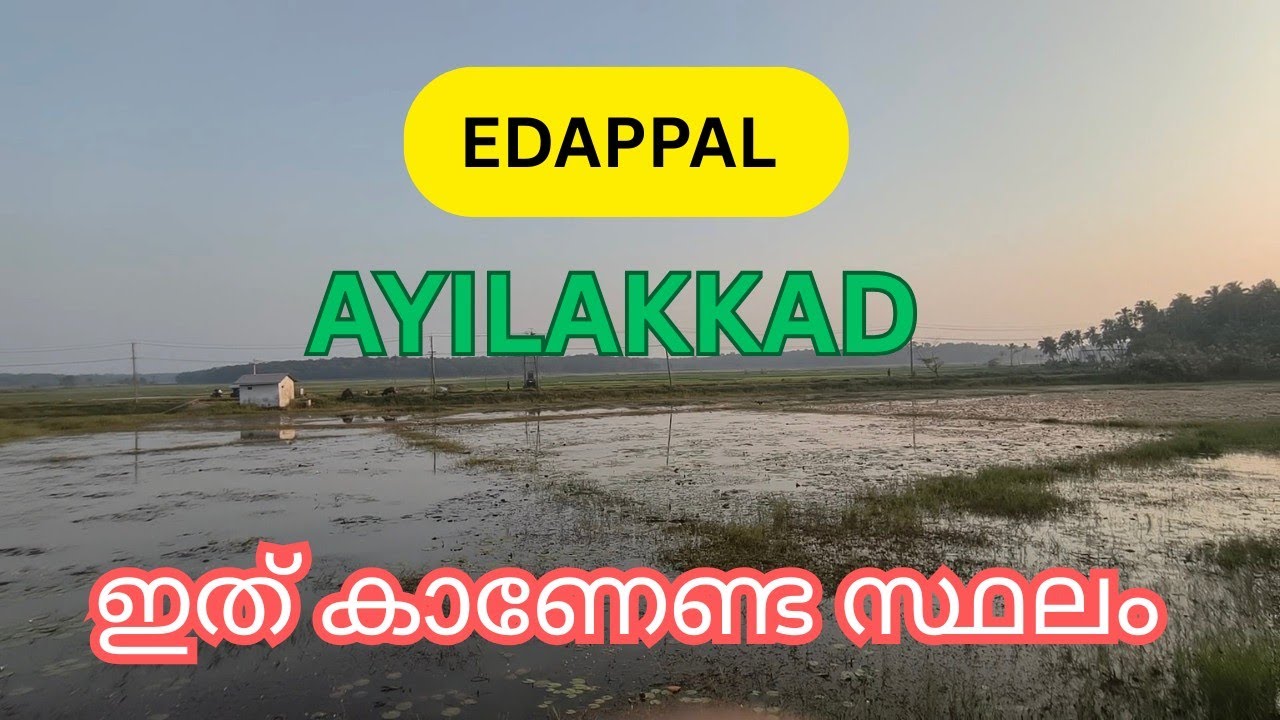 എടപ്പാളിന്റെ സ്വന്തം അയിലക്കാട് #kerala #edappal #villagebeauty #village #touristplace 