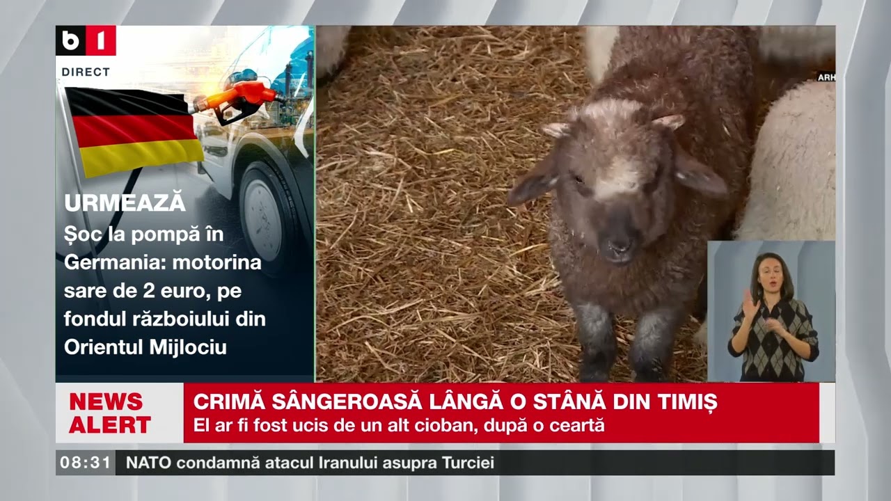 CRIMĂ SÂNGEROASĂ LÂNGĂ O STÂNĂ DIN TIMIȘ_Știri B1TV_5 mar. 2026