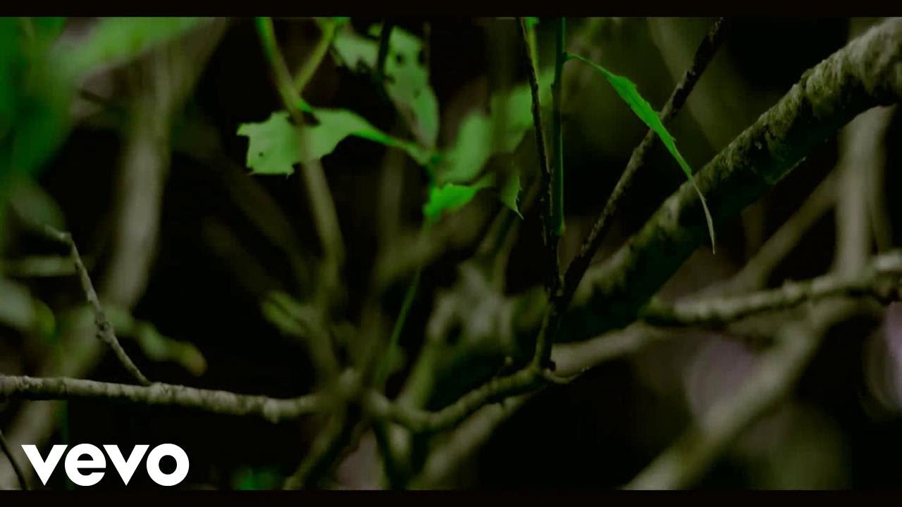 Bocca Myers - Dile que (Official Video) Original Audio