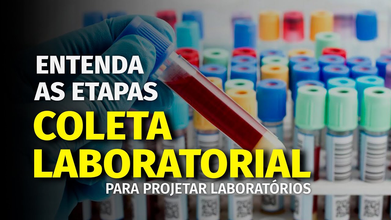 Entenda a etapa de COLETA de um LABORATÓRIO ANÁLISES CLÍNICAS | Cláudio Zunino