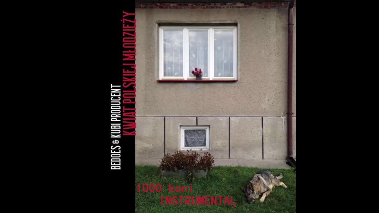 Bedoes & Kubi Producent - 1000 koni [reprod. TTOFU]