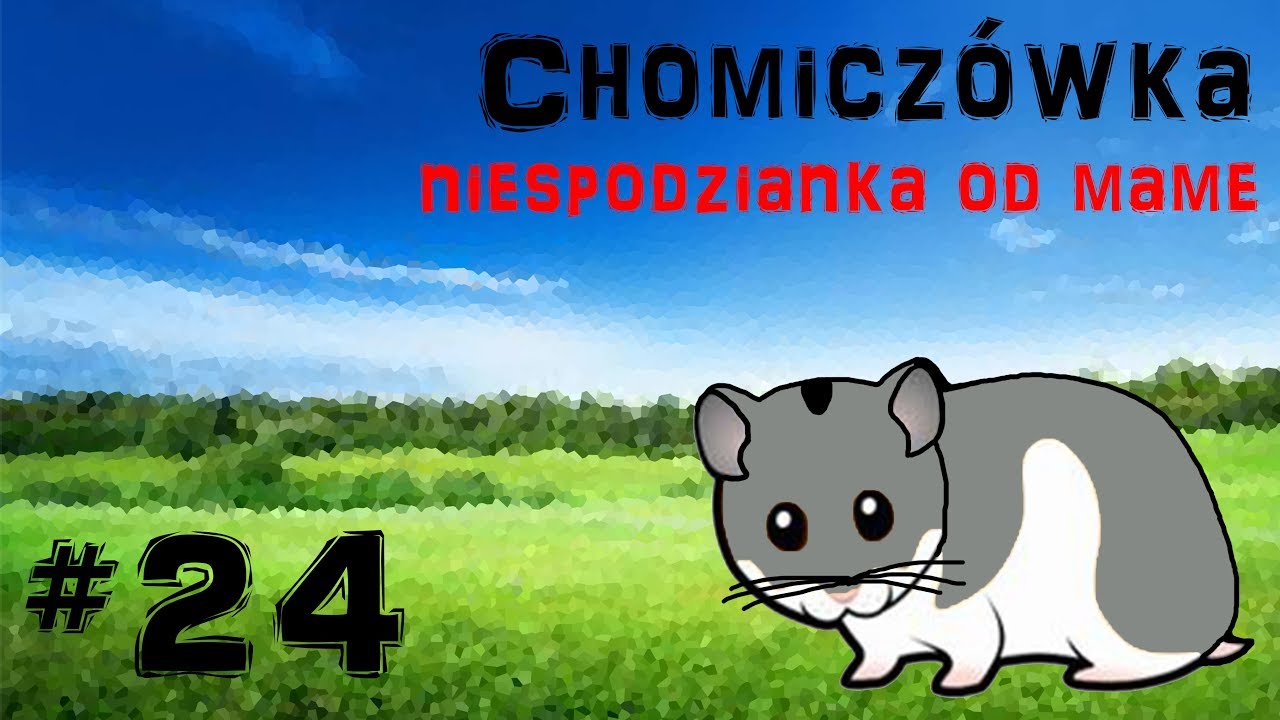 🐹 Chomiczówka #24 Niespodzianka od Mame
