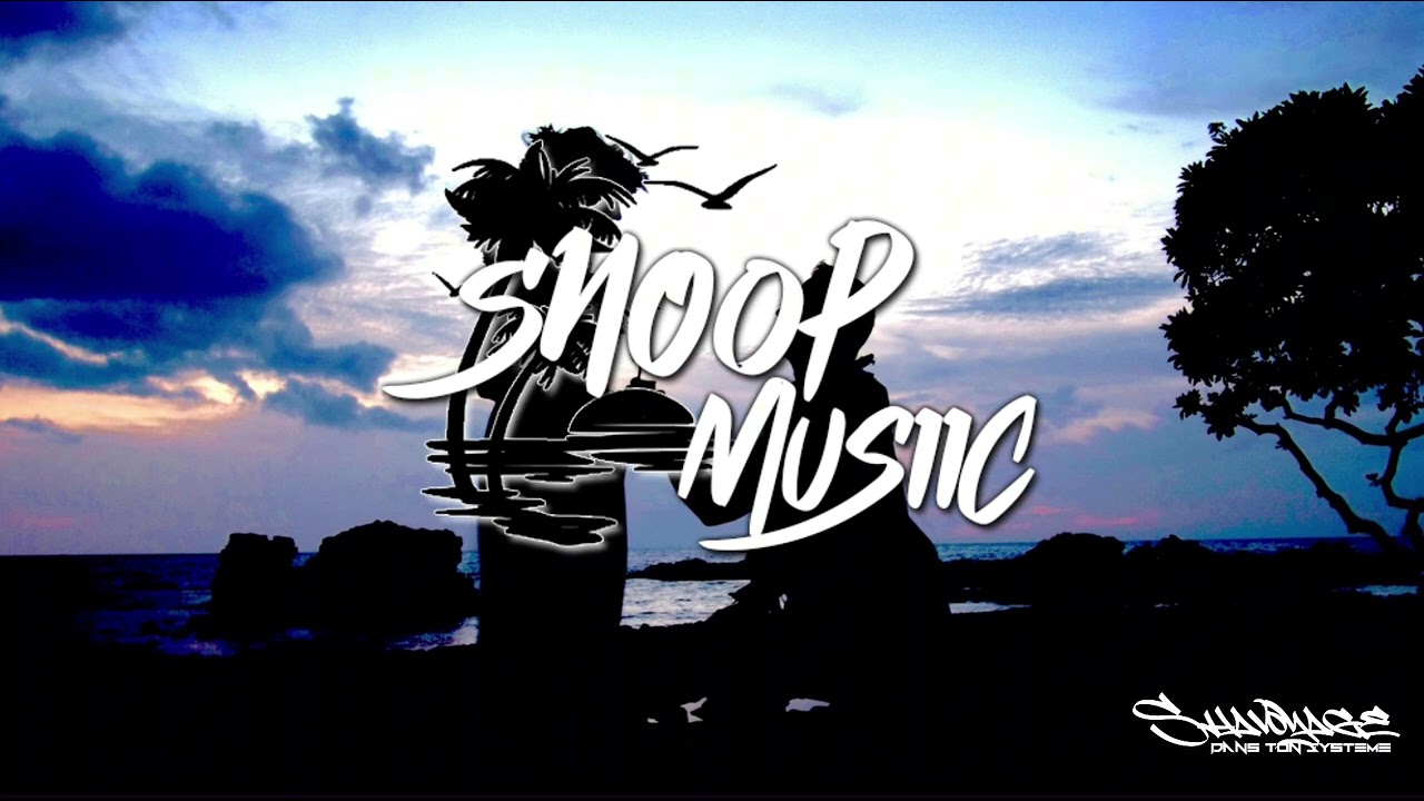 T Micky - N’oublie pas (Snoop Remix) 2024