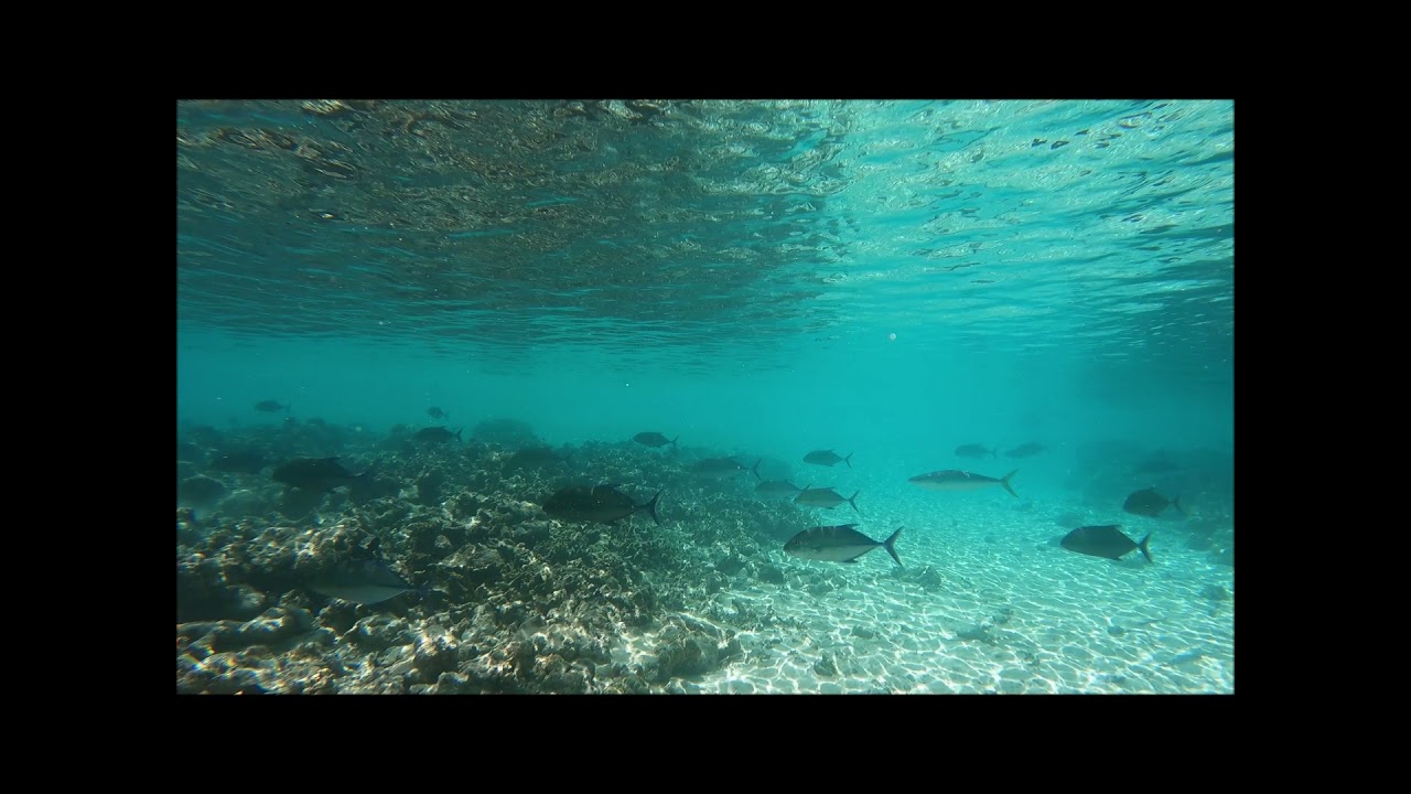 Eriyadu Island Resort Nov/Dec 2021