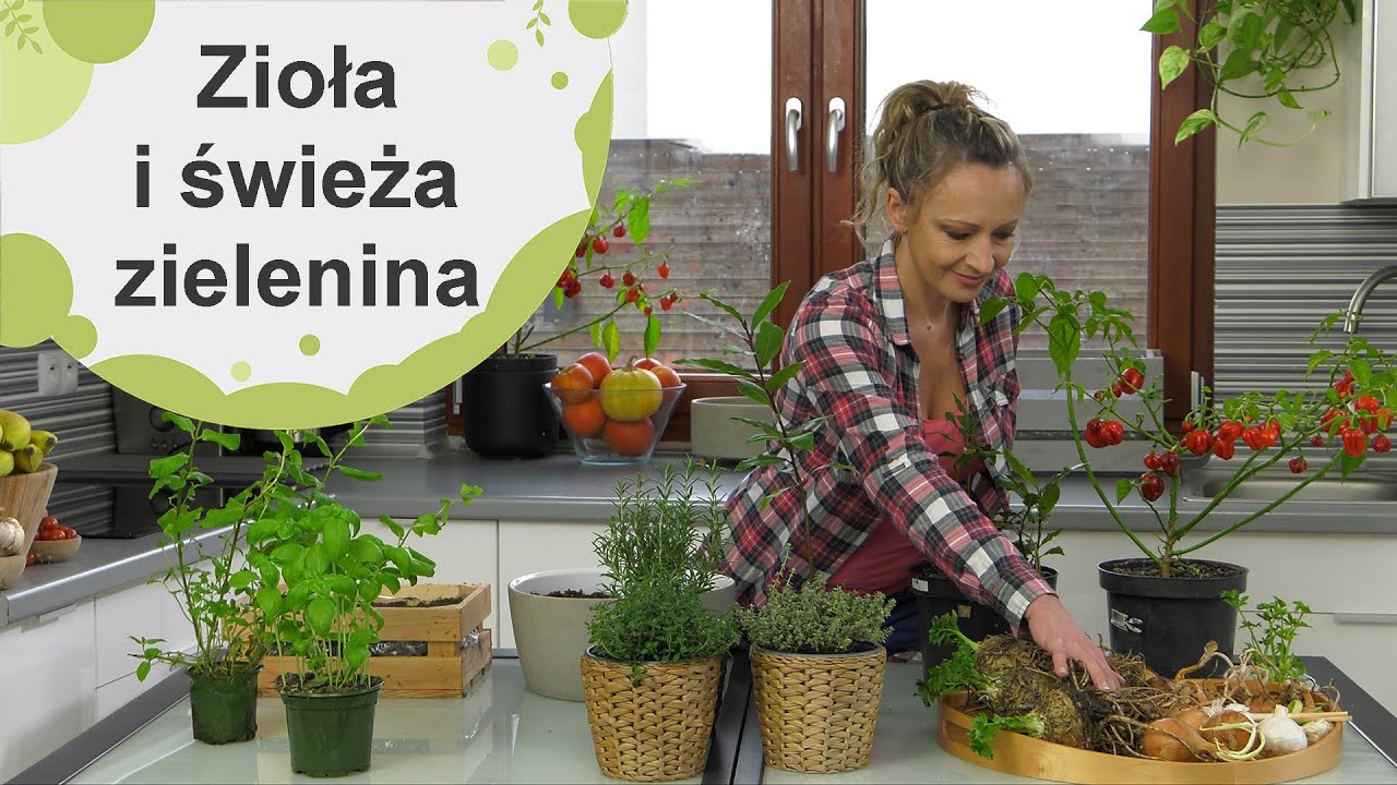 Zioła i świeża zielenina