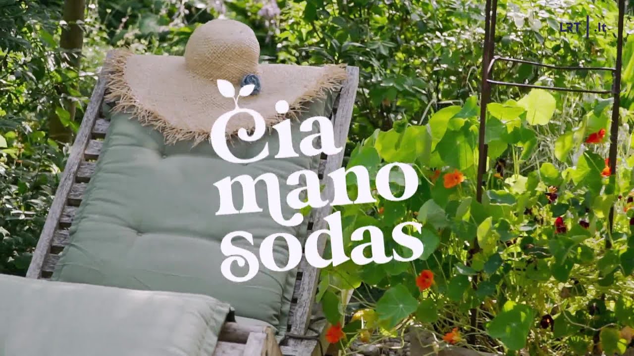 Čia mano sodas. Gražiausios jurginų veislės, sodinimo patarimai ir ankstyvas pavasaris kieme