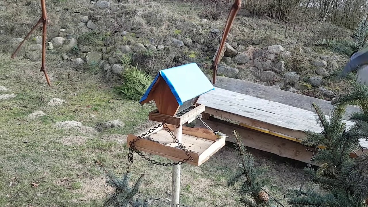 Aus dem H&auml;uschen - Part 2