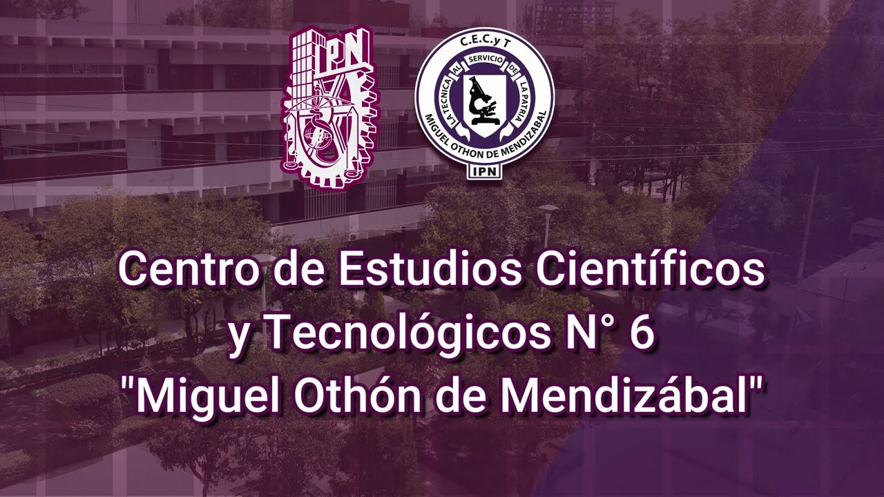 T&eacute;cnico Laboratorista Cl&iacute;nico