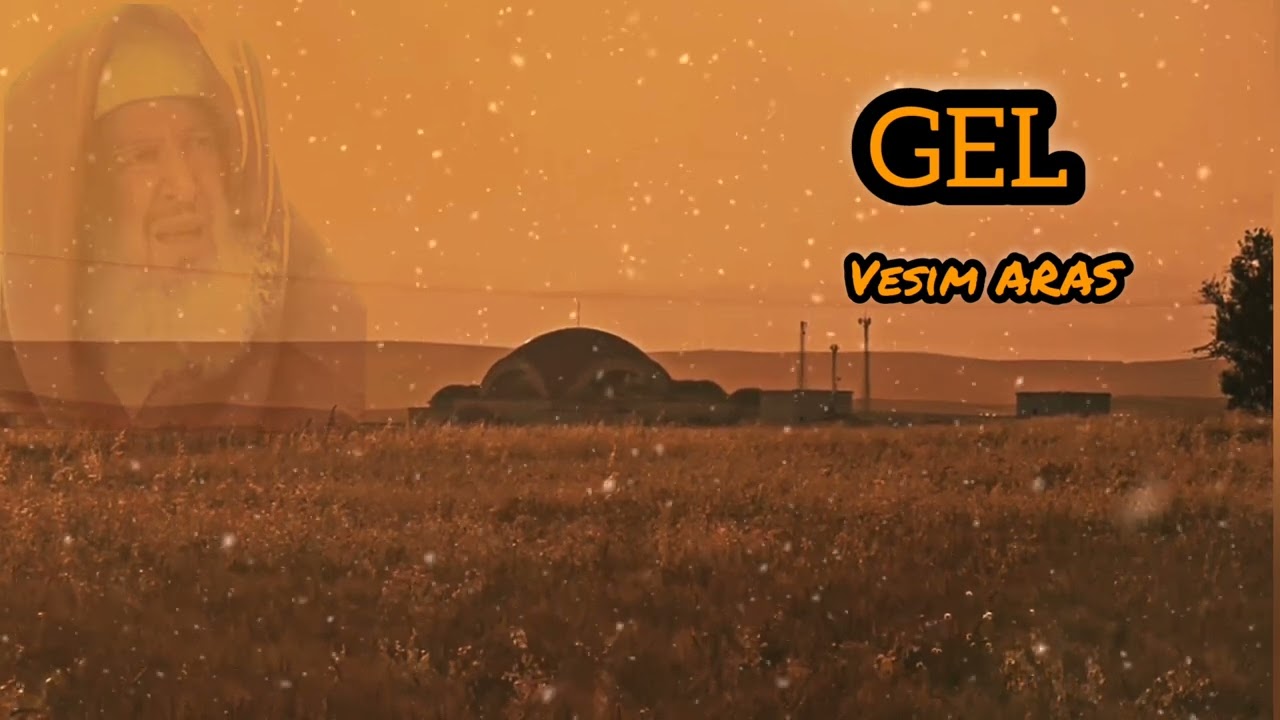 Vesim ARAS / GEL
