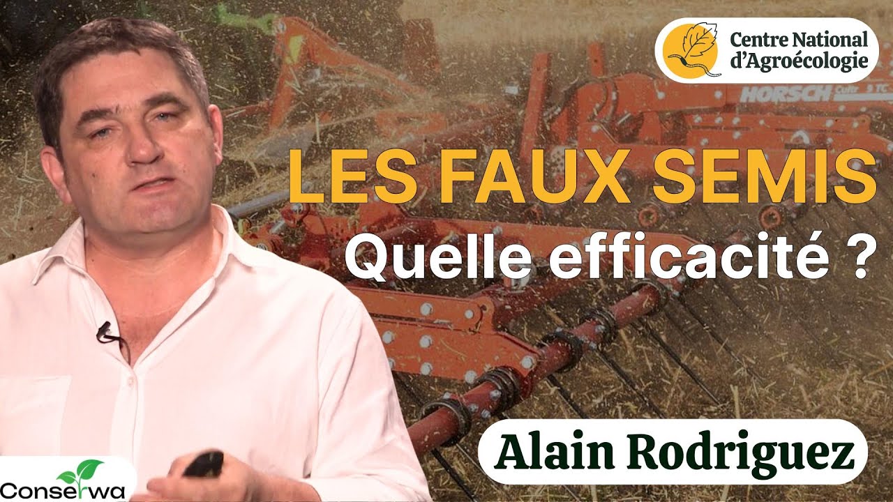 Gestion des adventices : le faux-semis ne servirait &agrave; rien ? Alain Rodriguez
