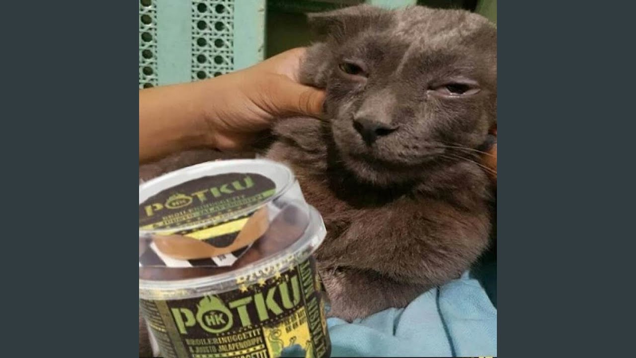 420 SPECIAL