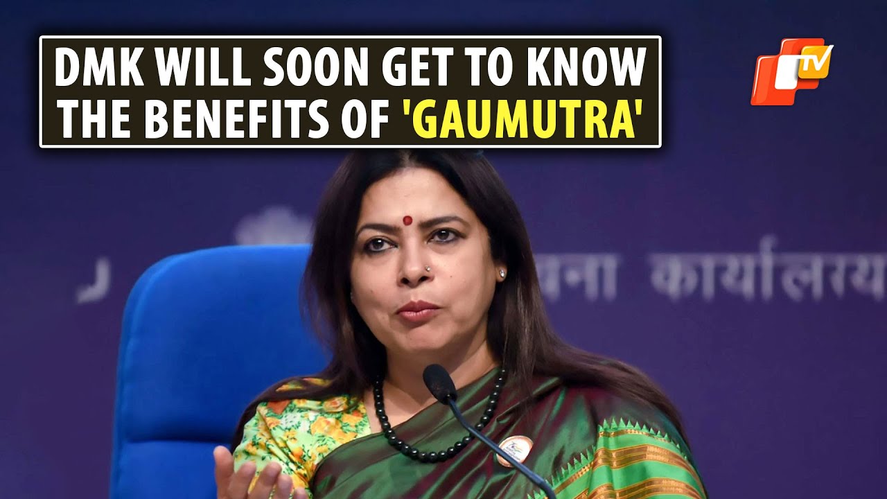 'Disrespect Of Sanatani Tradition': BJP&rsquo;s Meenakshi Lekhi Slams DMK MP Senthilkumar On Gaumutra Jibe