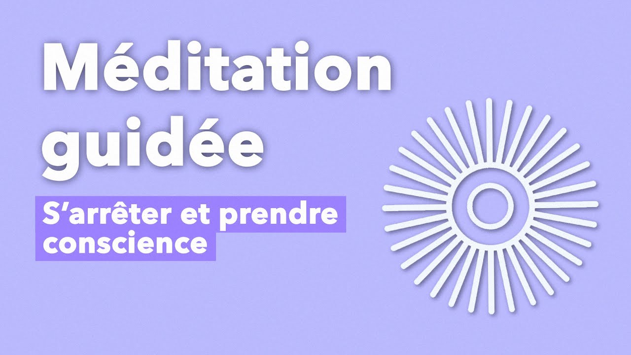 S'arrêter et prendre conscience | Le temps de méditer de Christophe André