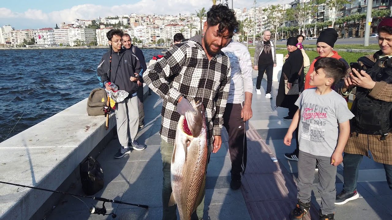 AİLECEK BÜYÜK BALIK AVINA ÇIKTIK!!! Family fishing😄 #bigfish #jewfish #mulloway