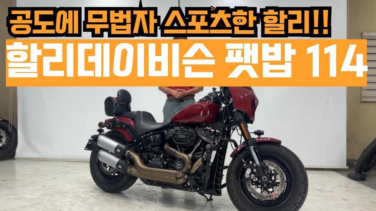 #할리데이비슨 팻밥114 현올라온 매물중 제일 최저가로 판매합니다