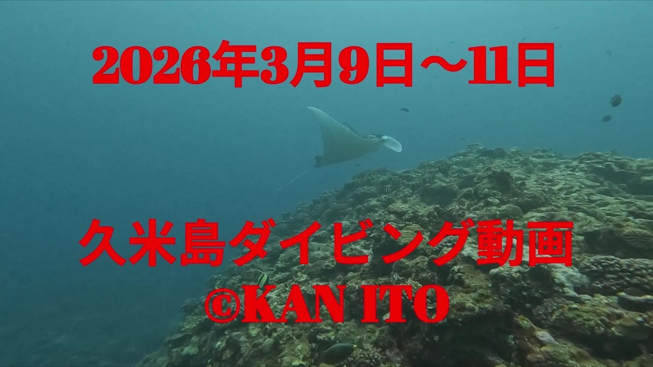 2026年3月9～11日　久米島ダイビング動画