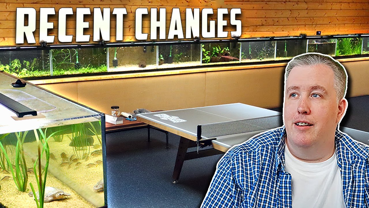 What's New in the Fish Room - Fish Room update Ep. 126