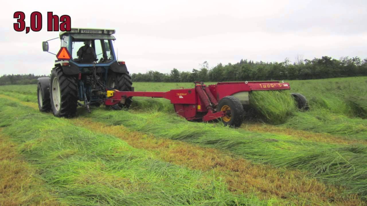 Skårlægning Grønne 2012