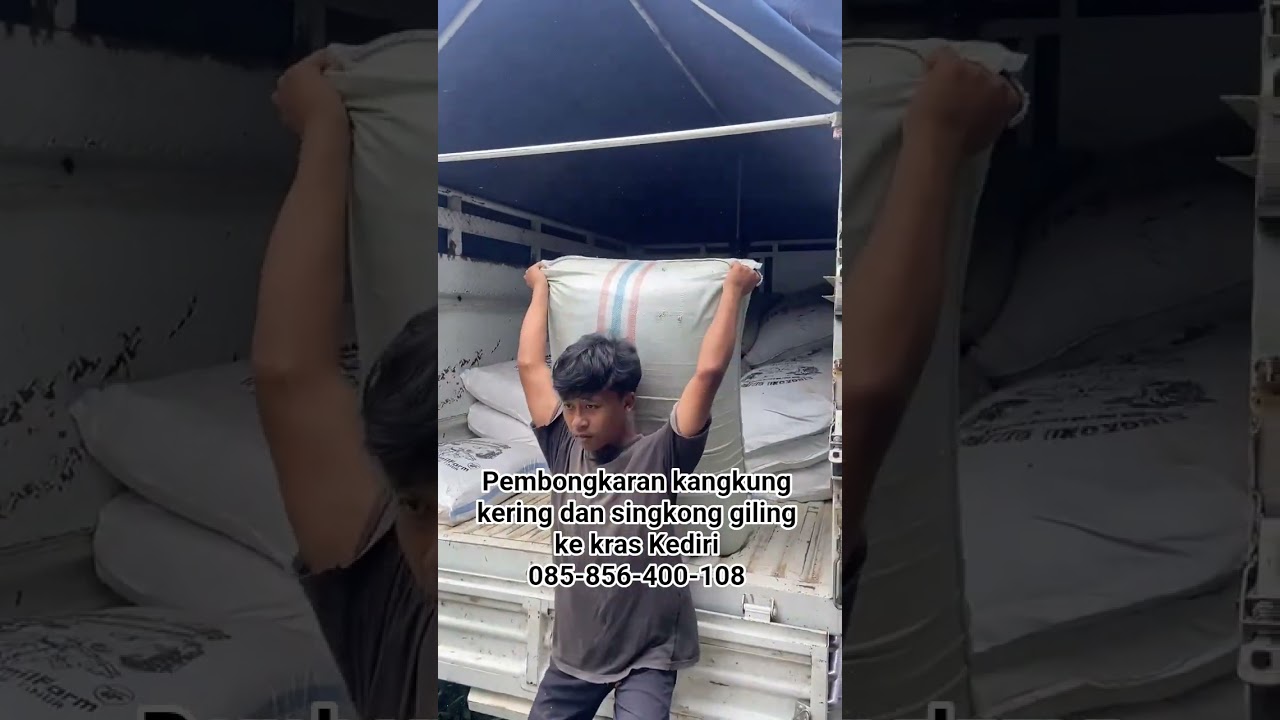 Pembongkaran kangkung kering dan singkong giling ke kras Kediri 085-856-400-108