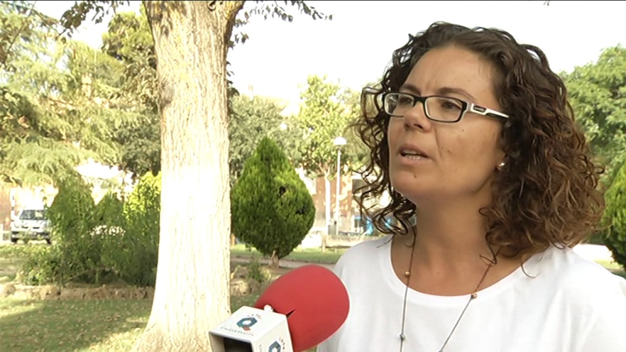 TRATAMIENTO ENDOTERAPIA CONTRA GALERUCA  CRTV