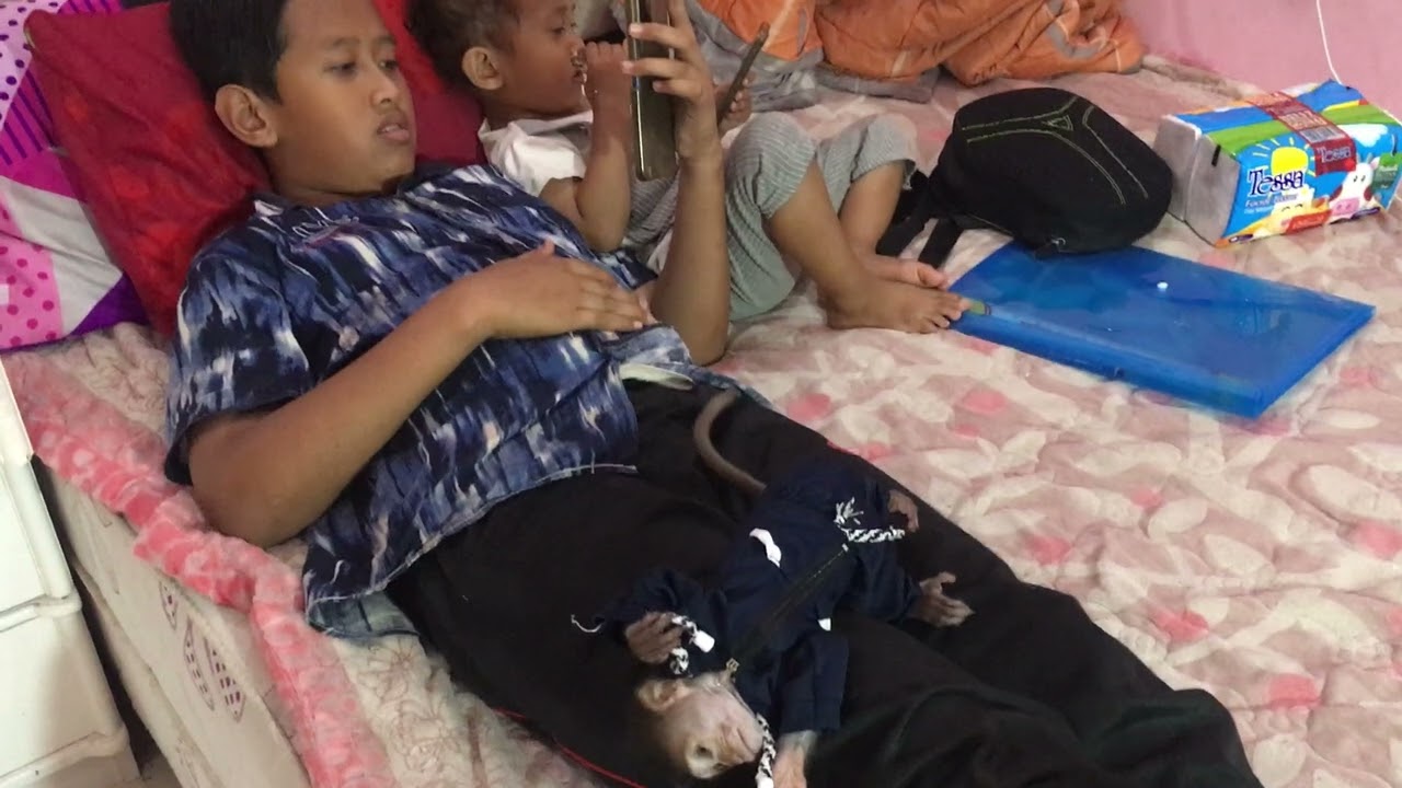 accompanying children to play cellphones