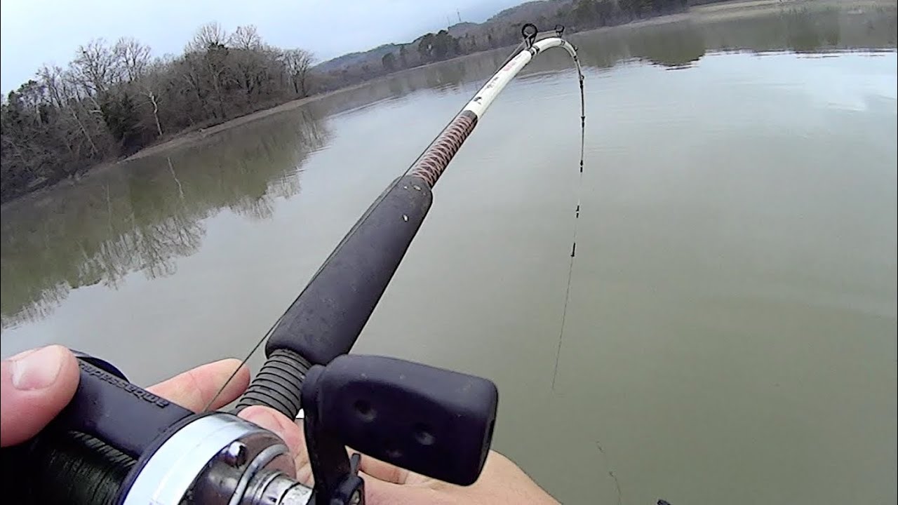 Fishing with SUCKERS at a Steam Plant
