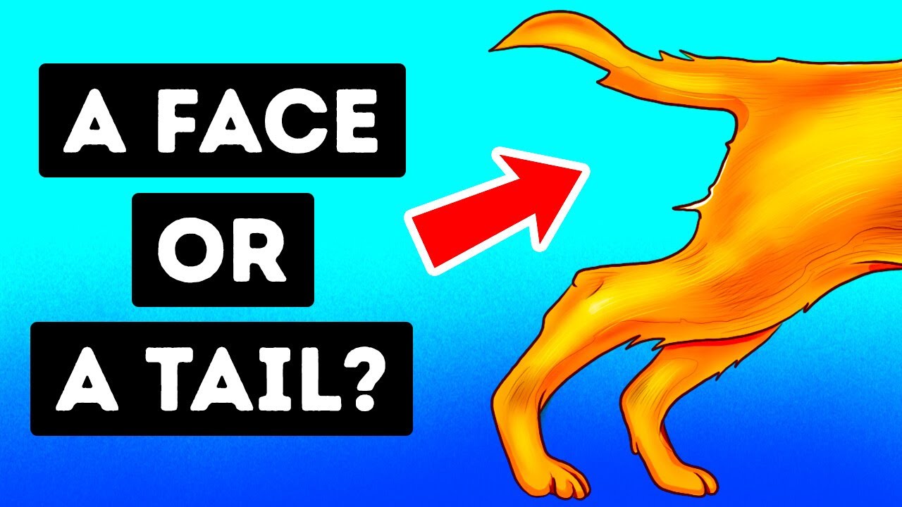 20+ Optical Illusions That Will Make You Look Twice