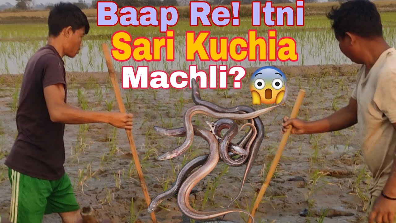 Khet ke keechad se nikaali dher saari Kuchia Machli! 🎣😲 #fishing