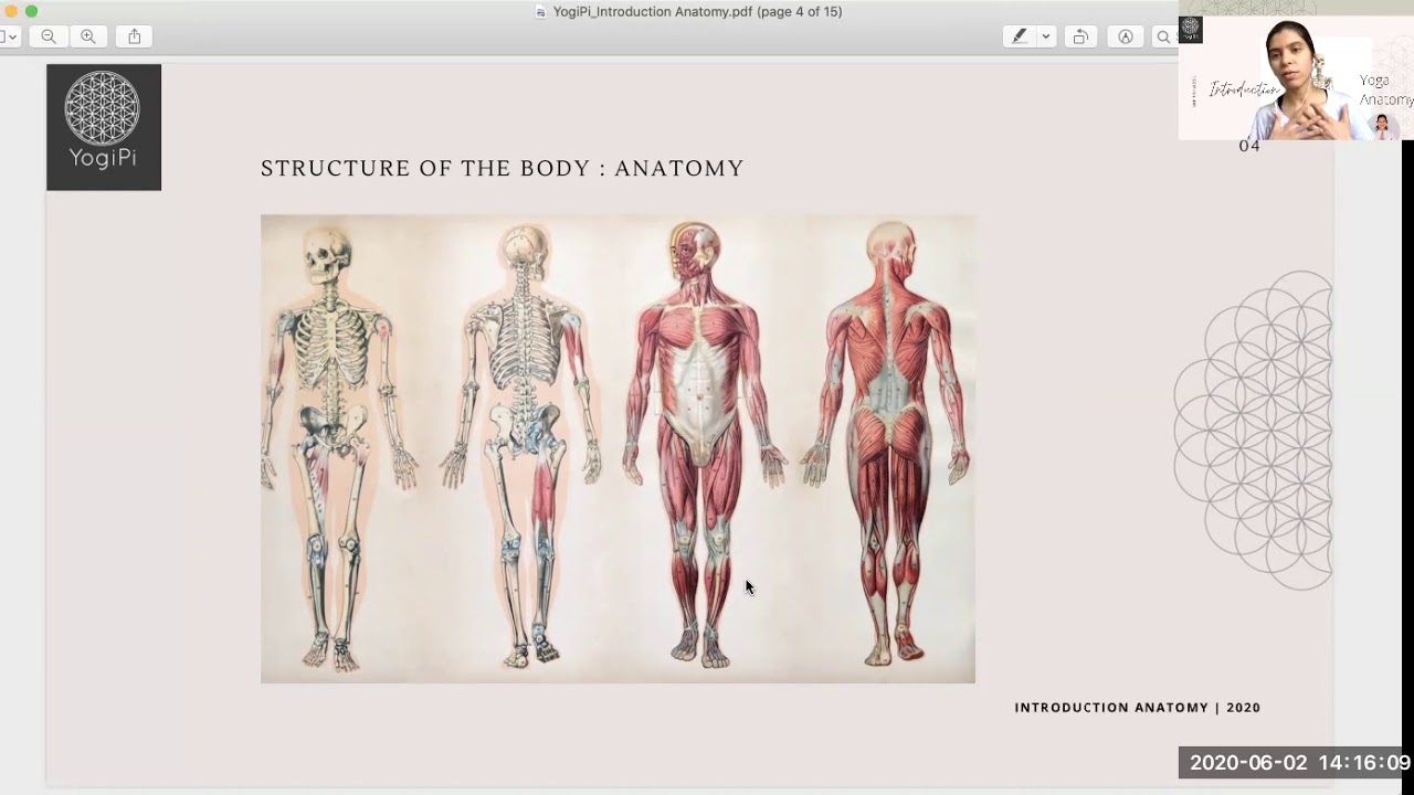 Introduction to Yoga Anatomy