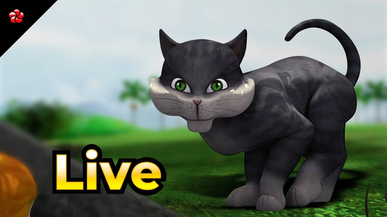 🔴 LIVE STREAM 🐈 Kathu and Pattampoochi Live 🦋 Moral Stories and Nursery Rhymes for Little Ones