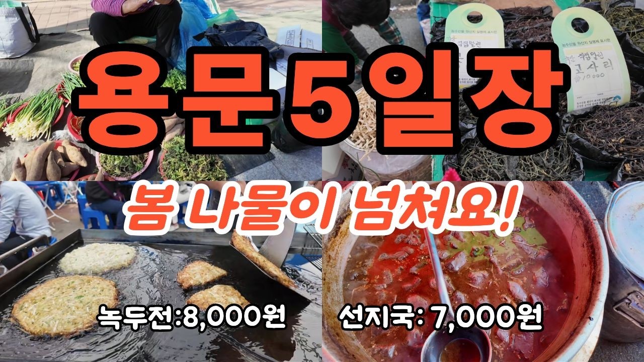 용문 5일장] 전철 타고 떠나는 당일치기 힐링! 먹거리부터 볼거리까지 총정리~! 힐링여행